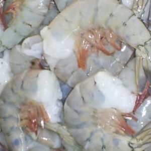 Langostino